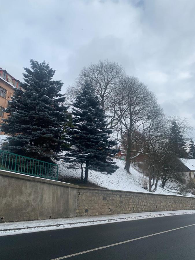Apartman V Krusnych Horach-Free Parking Яхимов Екстериор снимка
